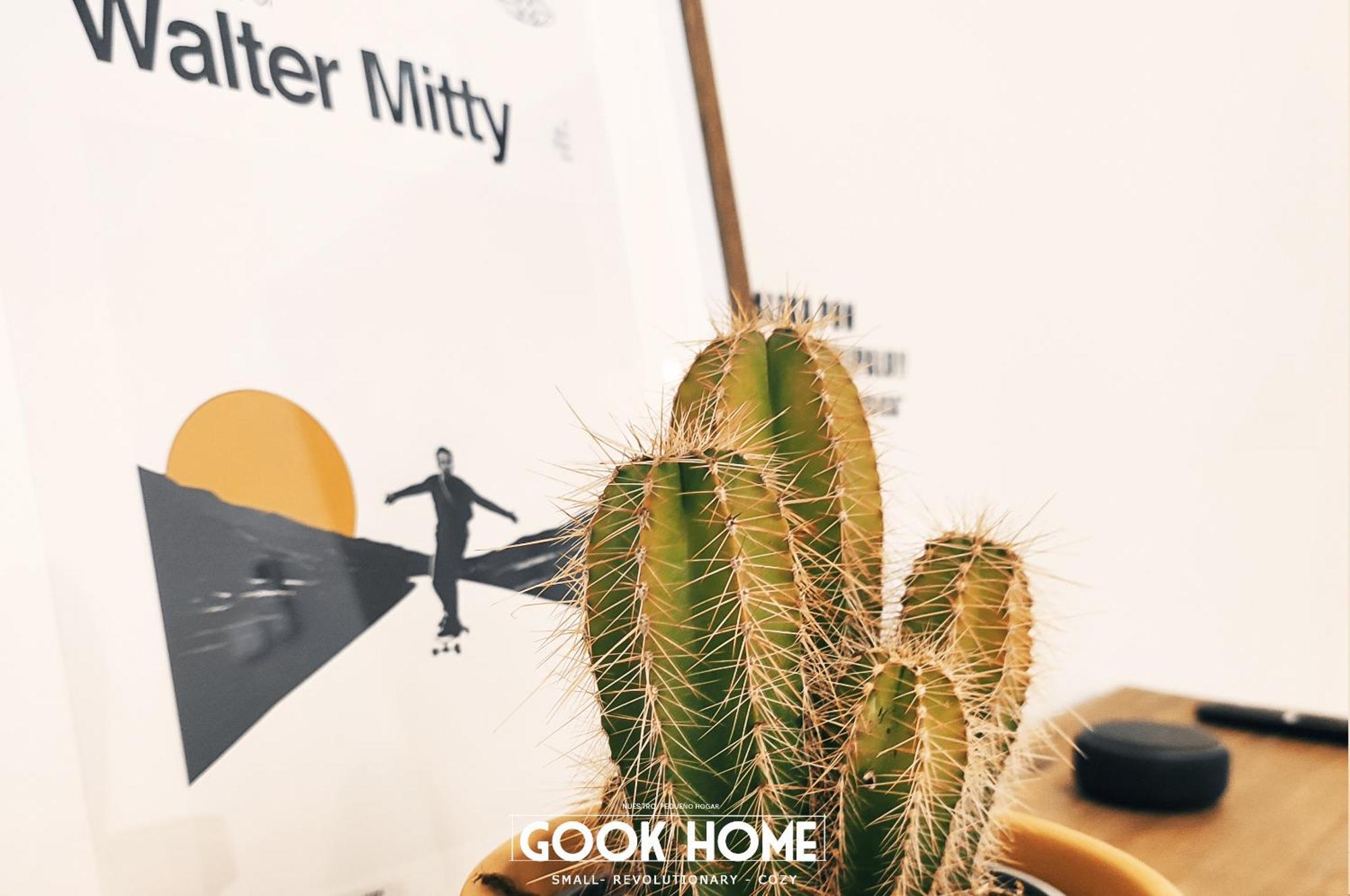 Gook Center * Jerez de la Frontera